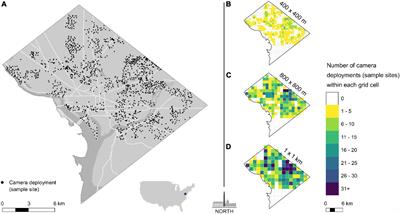 Spatial and temporal overlap of domestic cats (Felis catus) and native urban wildlife